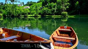 Krka živi